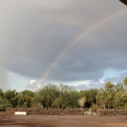 The South Ranch, gold at the end of the rainbow.